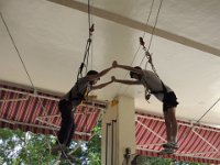 170628 PeerNet Camp D2 0171